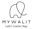 Lady’s Leather Bags